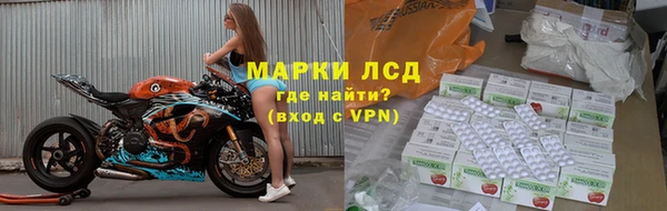 прущие грибы Бугульма
