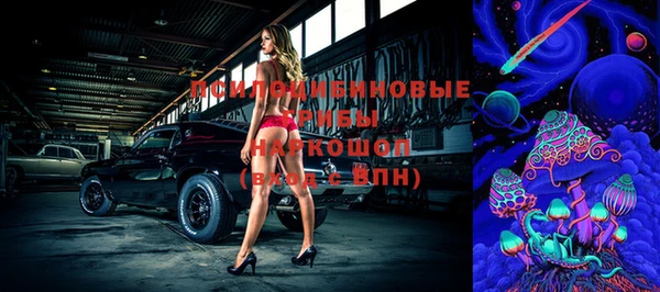 прущие грибы Бугульма