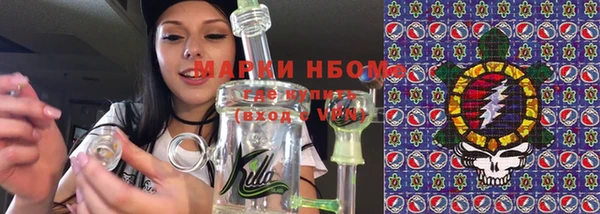 прущие грибы Бугульма
