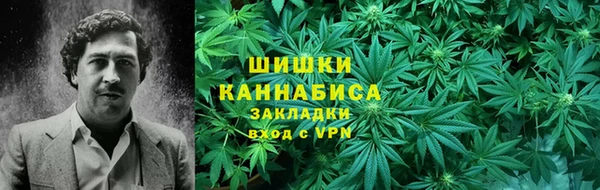 прущие грибы Бугульма