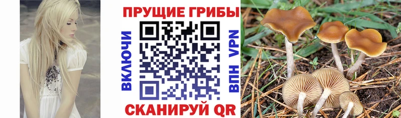 Псилоцибиновые грибы ЛСД что такое наркотик Дербент